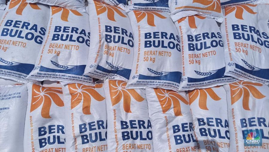 Menteri Perdagangan Zulkifli Hasan, Direktur Utama Perum Bulog Budi Waseso, Kepala Bapanas Arief Prasetyo Adi memantau bongkar muatan 5.000 ton beras impor asal Vietnam di Pelabuhan Tanjung Priok, Jumat (16/12/2022). (CNBC Indonesia/Emir Yanwardhana)