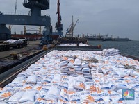 Beras Impor Terlambat Masuk, Buwas Curiga Ada yang Sengaja