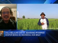 Petani Mulai Enggan Menanam Padi, Pasokan Beras RI Terancam?