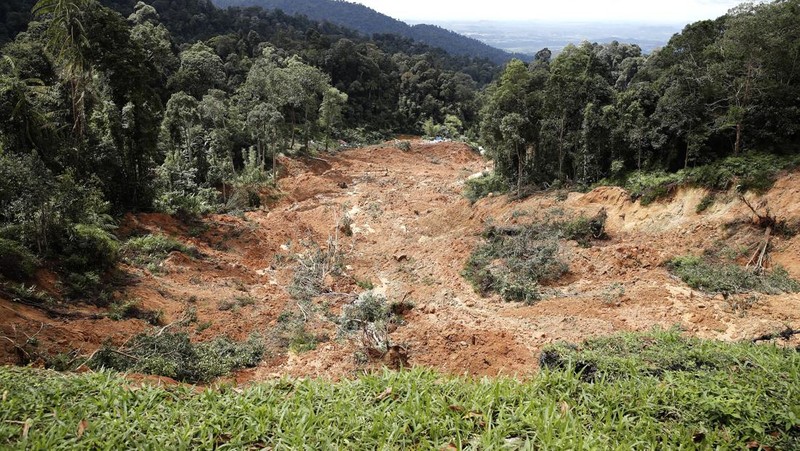Tim penyelamat bekerja selama operasi penyelamatan dan evakuasi pasca tanah longsor di perkemahan di Batang Kali, Selangor, Malaysia, Sabtu (17/12/2022). Sebanyak 24 orang tewas setelah tragedi tanah longsor di bumi perkemahan yang terletak di pertanian organik Gohtong Jaya, dekat kota Batang Kali, Malaysia. (REUTERS/Hasnoor Hussain)