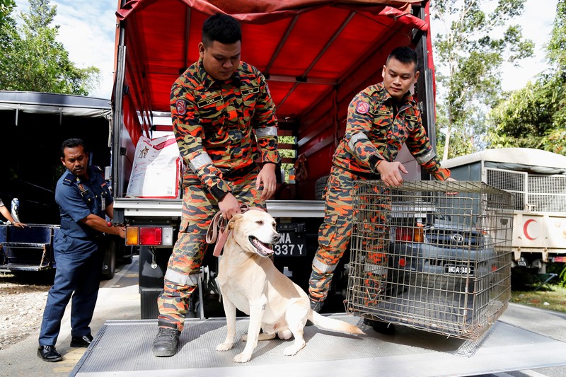 Tim penyelamat bekerja selama operasi penyelamatan dan evakuasi pasca tanah longsor di perkemahan di Batang Kali, Selangor, Malaysia, Sabtu (17/12/2022). Sebanyak 24 orang tewas setelah tragedi tanah longsor di bumi perkemahan yang terletak di pertanian organik Gohtong Jaya, dekat kota Batang Kali, Malaysia. (REUTERS/Hasnoor Hussain)
