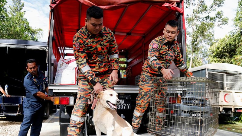 Tim penyelamat bekerja selama operasi penyelamatan dan evakuasi pasca tanah longsor di perkemahan di Batang Kali, Selangor, Malaysia, Sabtu (17/12/2022). Sebanyak 24 orang tewas setelah tragedi tanah longsor di bumi perkemahan yang terletak di pertanian organik Gohtong Jaya, dekat kota Batang Kali, Malaysia. (REUTERS/Hasnoor Hussain)
