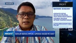 500 Ribu Beras Impor Masuk RI, Ini Kata Kementan