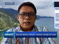 500 Ribu Beras Impor Masuk RI, Ini Kata Kementan