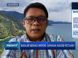 500 Ribu Beras Impor Masuk RI, Ini Kata Kementan
