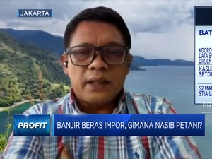 500 Ribu Beras Impor Masuk RI, Ini Kata Kementan