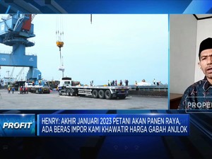Serikat Petani: Kegagalan Bulog Bikin RI Banjir Beras Impor!