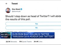 Elon Musk Tanya Netizen 