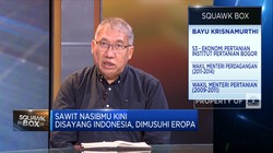 Hadapi UU Anti-Deforestasi Eropa, Sawit RI Harus Gimana?