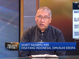Hadapi UU Anti-Deforestasi Eropa, Sawit RI Harus Gimana?