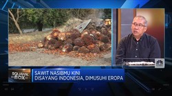 Jurus RI Perjuangkan Ekspor Sawit Hingga Cokelat ke Uni Eropa
