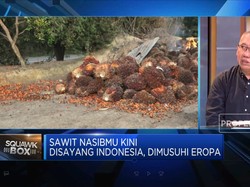 Jurus RI Perjuangkan Ekspor Sawit Hingga Cokelat ke Uni Eropa