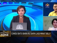 Video: Candu Batu Bara RI, Siapa Lagi Minat Beli?
