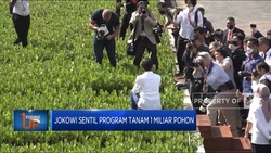 Jokowi Sentil Program Tanam 1 Miliar Pohon
