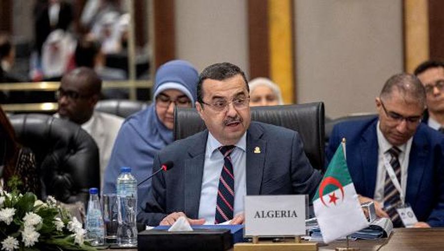 Algeria's Energy Minister Mohamed Arkab attends the opening session of the 24th ministerial meeting of the Gas Exporting Countries Forum (GECF), in the Capital Cairo on October 25, 2022. (Photo by Khaled DESOUKI / AFP)