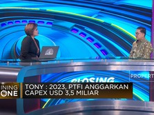 Hingga 2024, Freeport Bagi Dividen USD 3,8 M ke Pemerintah