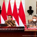 Beda Dengan Nikel, Aksi Jokowi Ini Kurang Bertaji