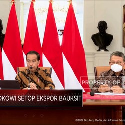 Beda Dengan Nikel, Aksi Jokowi Ini Kurang Bertaji