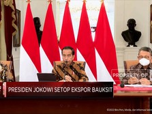 Pantas Jokowi Kesal, Tak Ada Bank Dalam Negeri Biayai Smelter