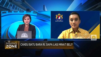 Jokowi Setop Ekspor Bauksit Tapi Kadin Minta Tunda, Kenapa?