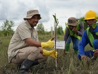 PTBA Lestarikan Habitat Burung & Mangrove di Alanggantang