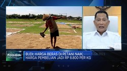 Buwas Jamin Impor Tak Ganggu Serapan Beras di Panen Raya 2023