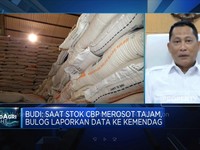 Dilema Buwas, Penuhi Stok Beras Bulog Hingga Harus Impor