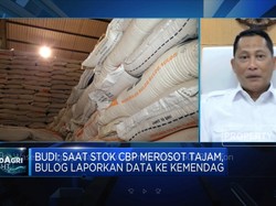 Dilema Buwas, Penuhi Stok Beras Bulog Hingga Harus Impor