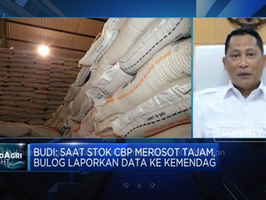 Dilema Buwas, Penuhi Stok Beras Bulog Hingga Harus Impor