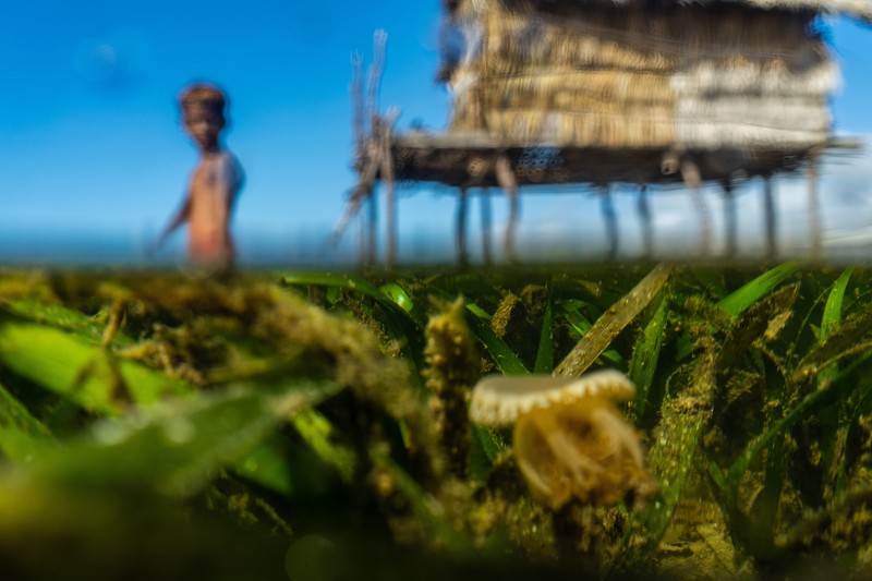 Suku Bajo di Sulawesi, Indonesia BUTON, SOUTH EAST SULAWESI, INDONESIA - 2020/10/01: Dimas Saputra (10 years old) is seen posing with his favorite boat right in front of his house.
The life of the Bajo tribe, from birth to adulthood, is dependent on the sea. Everything is done there, from looking for food to all life activities carried out in the sea. Dimas Saputra is one of the many children who became an accomplished bajo child with extraordinary diving skills at a young age. Since childhood, his father Muhammad Ajran (36 years old) and his mother Sunarti (35 years old) have been accustomed to knowing and uniting with nature. (Photo by Andry Denisah/SOPA Images/LightRocket via Getty Images)