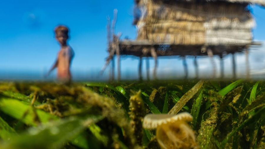 BUTON, SOUTH EAST SULAWESI, INDONESIA - 2020/10/01: Dimas Saputra (10 years old) is seen posing with his favorite boat right in front of his house.
The life of the Bajo tribe, from birth to adulthood, is dependent on the sea. Everything is done there, from looking for food to all life activities carried out in the sea. Dimas Saputra is one of the many children who became an accomplished bajo child with extraordinary diving skills at a young age. Since childhood, his father Muhammad Ajran (36 years old) and his mother Sunarti (35 years old) have been accustomed to knowing and uniting with nature. (Photo by Andry Denisah/SOPA Images/LightRocket via Getty Images)