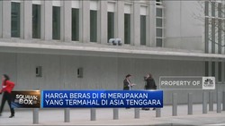 Video: Harga Beras di RI Yang Termahal di Asia Tenggara