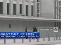 Video: Harga Beras di RI Yang Termahal di Asia Tenggara