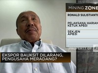 Video: Jokowi Larang Ekspor Bauksit, Pengusaha Meradang?