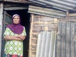 Kisah Nenek Pemungut Cengkih, Cuma Dapat Rp15.000 Sehari