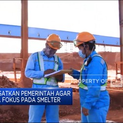 Pengusaha Ingatkan Pemerintah Jangan Hanya Fokus Pada Smelter