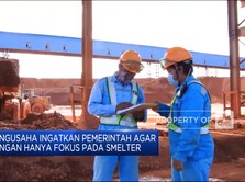 Pengusaha Ingatkan Pemerintah Jangan Hanya Fokus Pada Smelter