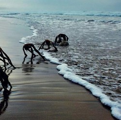 Heboh Bayangan Alien Tertangkap Google Earth, Berani Lihat?