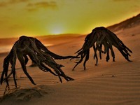 Israel Beberkan Hubungan Gelap AS dan Alien, Sebut Donald Trump