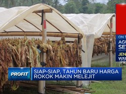 Video: APTI: Cukai Naik 10% "Membunuh" Petani Tembakau