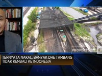 Banyak Eksportir Nakal, Dolar Hasil Tambang Tak Masuk RI