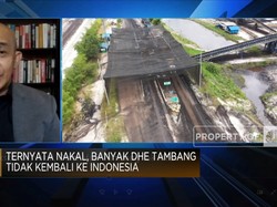 Banyak Eksportir Nakal, Dolar Hasil Tambang Tak Masuk RI