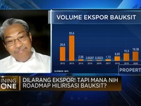 Dilarang Ekspor! Tapi Mana Nih Roadmap Hilirisasi Bauksit?
