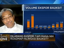 Dilarang Ekspor! Tapi Mana Nih Roadmap Hilirisasi Bauksit?