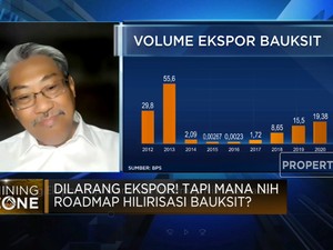 Dilarang Ekspor! Tapi Mana Nih Roadmap Hilirisasi Bauksit?