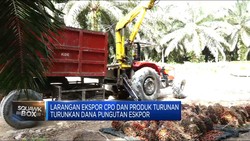 Ekspor CPO Sempat Dilarang, Dana Pungutan Ekspor Anjlok