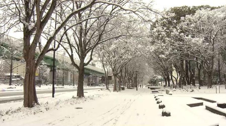 A man clears snow at a parking lot in Kitami, Hokkaido Prefecture, Japan in this photo taken by Kyodo on December 24, 2022.  Mandatory credit Kyodo/via REUTERS ATTENTION EDITORS - THIS IMAGE WAS PROVIDED BY A THIRD PARTY. MANDATORY CREDIT. JAPAN OUT. NO COMMERCIAL OR EDITORIAL SALES IN JAPAN