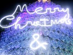 Unik!Ini Potret Pohon Natal Raksasa Dari Botol Bekas Di Bogor