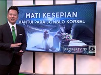 Video: Mati Kesepian Hantui Para Jomblo Korsel