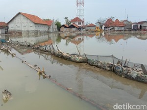 BMKG Keluarkan Peringatan Dini Banjir Rob di Pesisir Utara Jateng